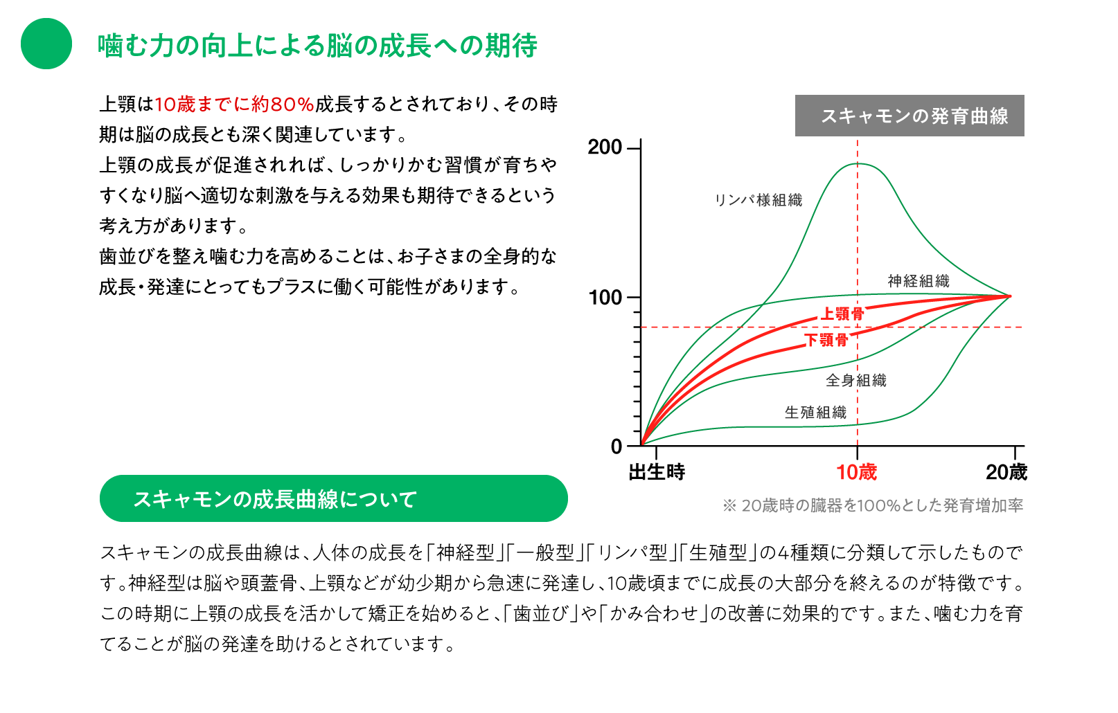 噛む力の向上による脳の成長への期待