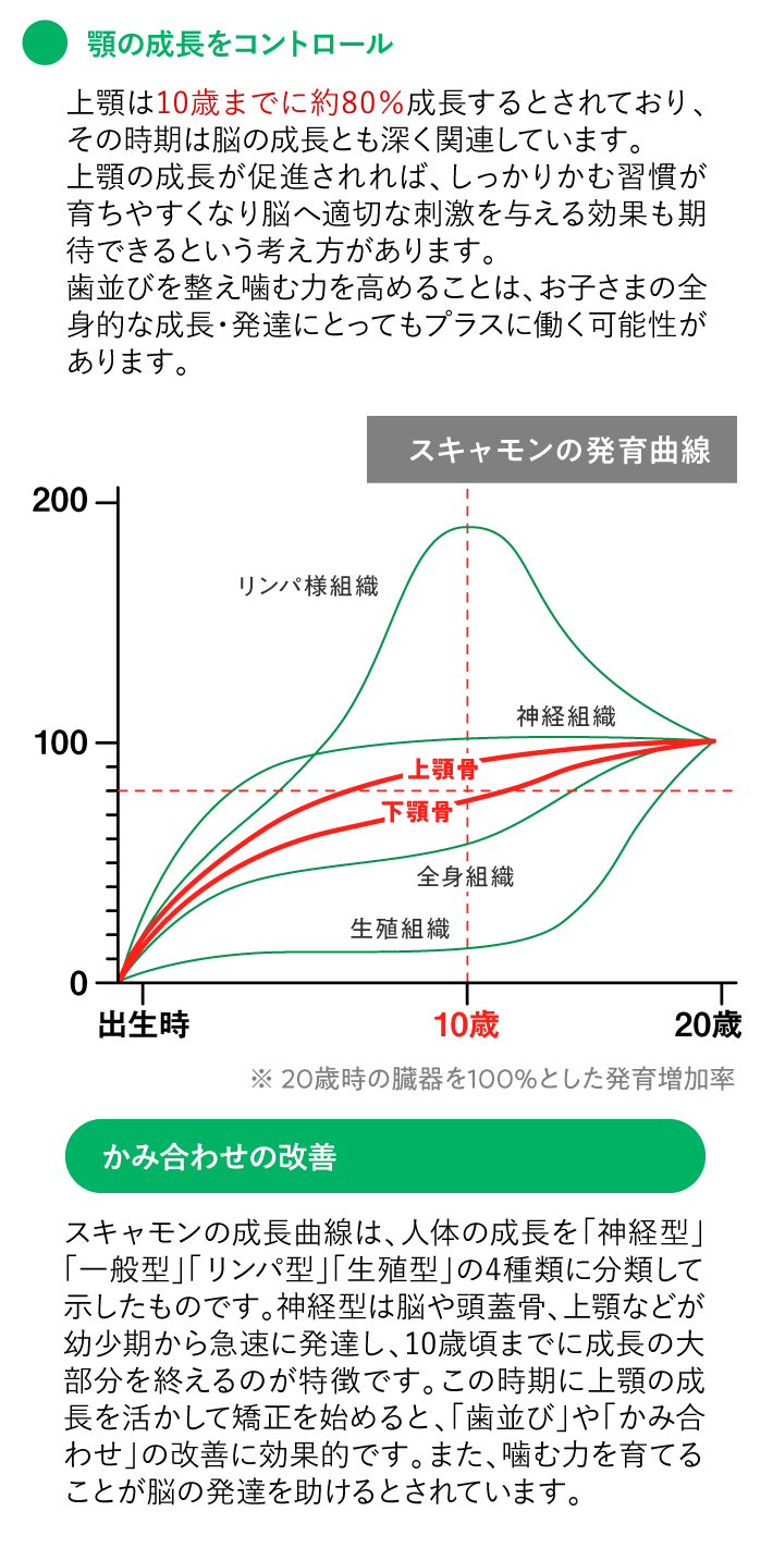 噛む力の向上による脳の成長への期待