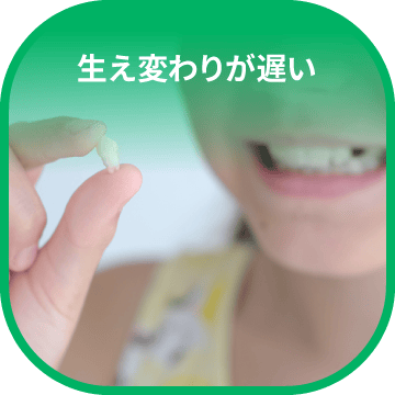 生え変わりが遅い