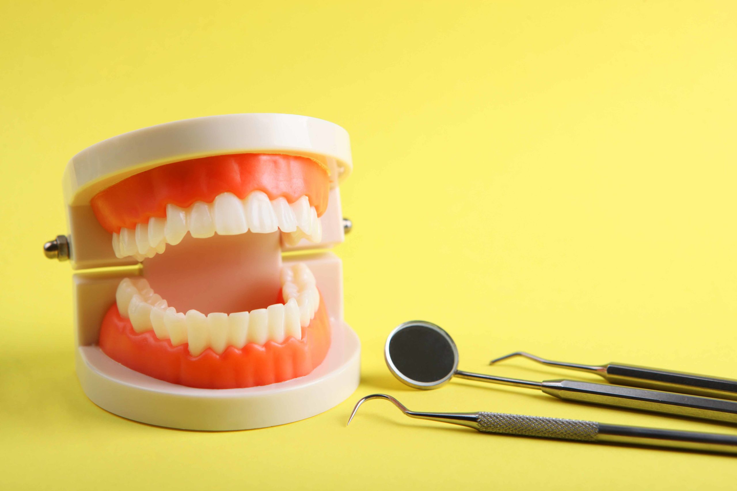 黄色い背景の前に歯の模型と治療器具が置かれている