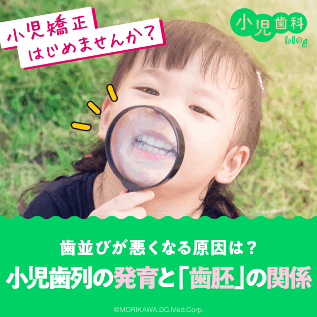 歯並びが悪くなる原因は？小児歯列の発育と「歯胚」の関係