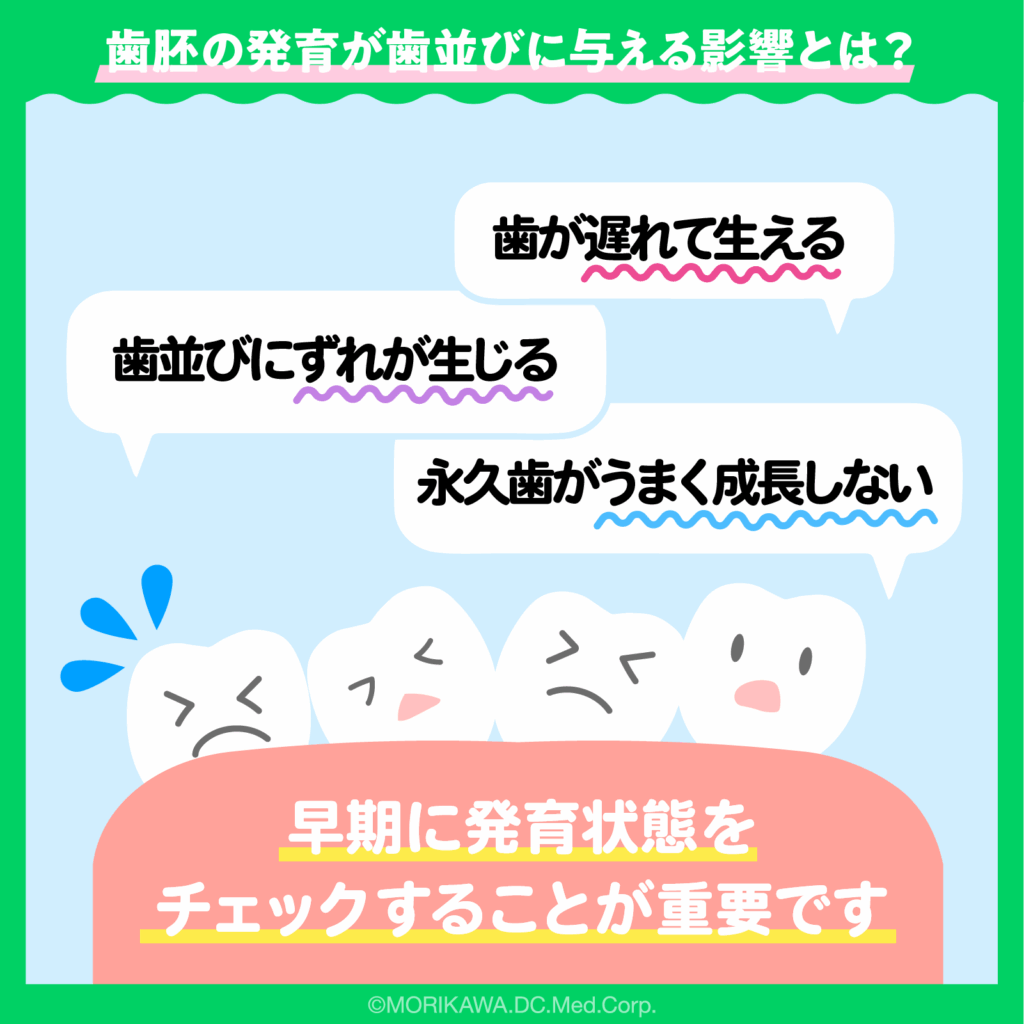 歯胚の発育が歯並びに与える影響とは？